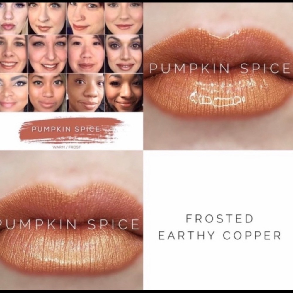 Retired Color!!! Pumpkin Spice LipSense